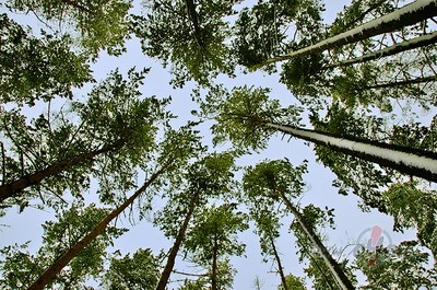 P�c tik ilgiem, ilgiem laikiem j�tos fantastiski atp�tusies => ...