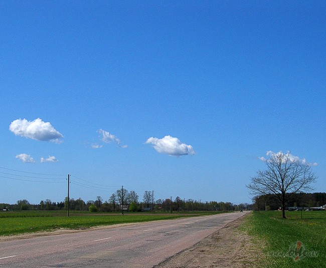 Visu r�tu c�nos ar sevi => braukt vai nebraukt?!?