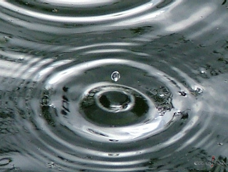 PALDIES �� r�ta sve�iniekam, kas pavad�ja ar savu lietussargu, lai es ...