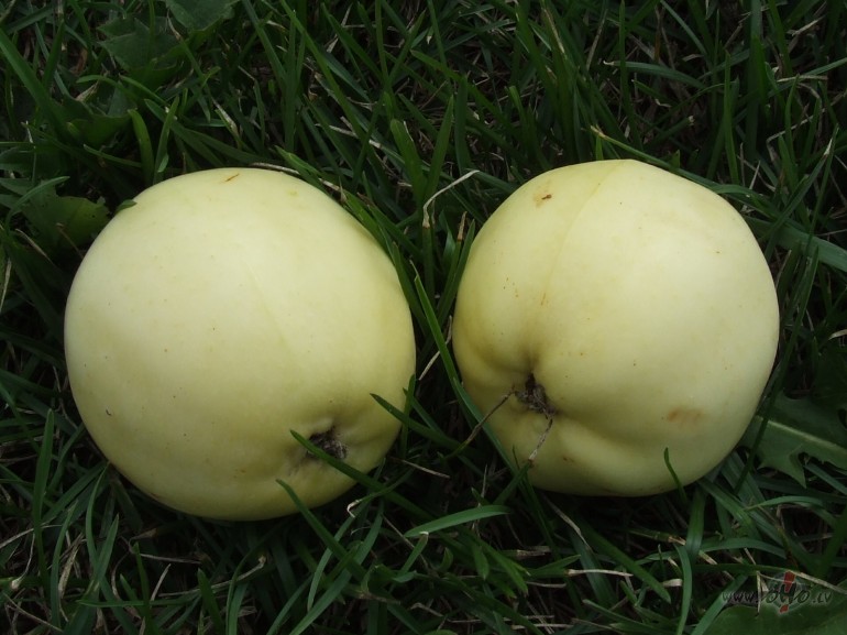 Mirkli paskat�simies viens otram ac�s,Un, kaut neb�s ne �uksta,M�s ...