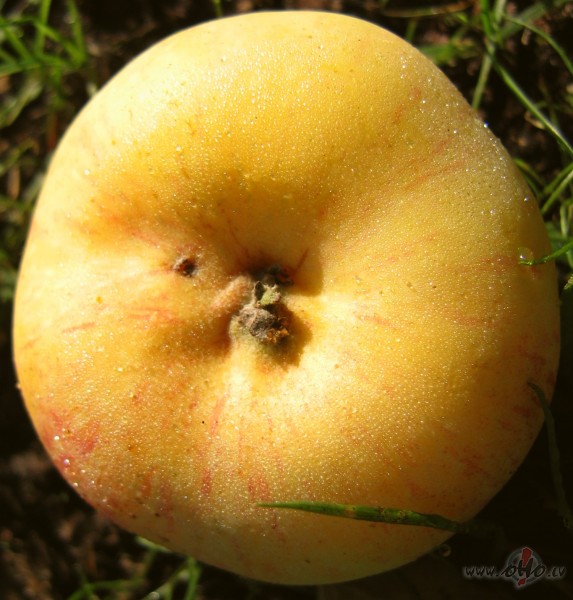 S�kas astronomiskais rudens
				


				

�onakt
plkst. 1.23 ...