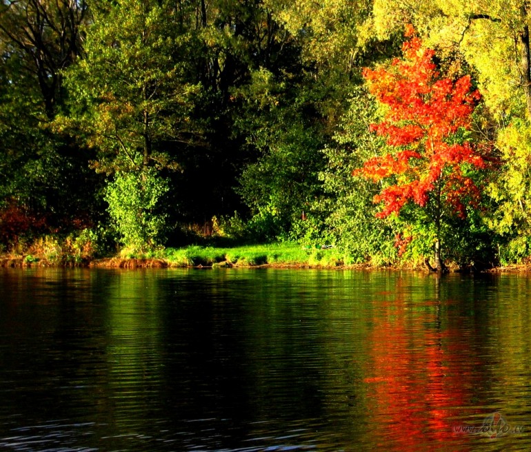 �is rudens ir rudens k� rudens,nek� mums nevajag b�ties ?ne kok� k� ...