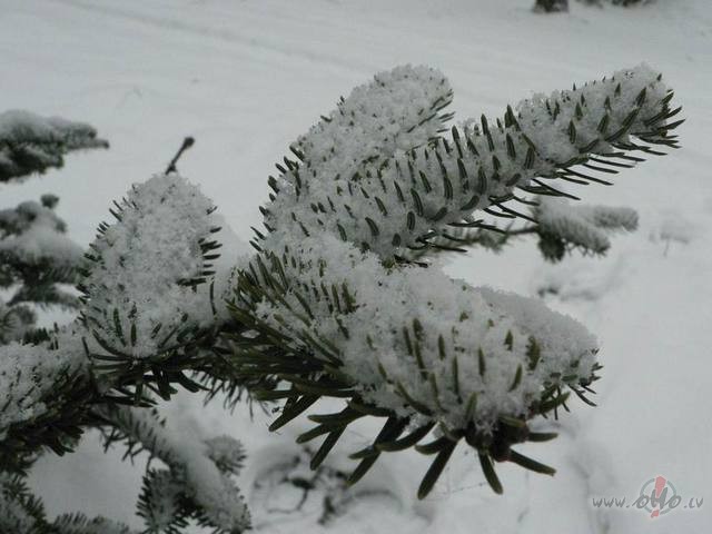 Gad� ir tikai divas dienas,kur�s m�s neko nevaram ies�kt.Viena ir ...