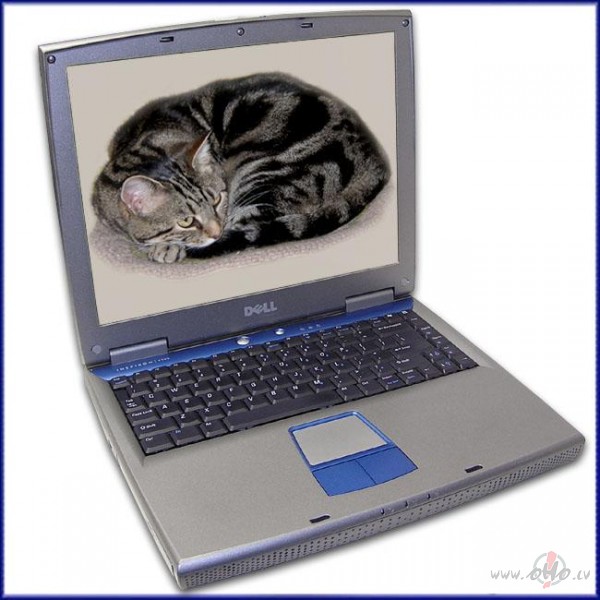 Sodien iegadajos Dell Inspiron 1100 CELERON 2.2GHz 512MB DDR 40GB