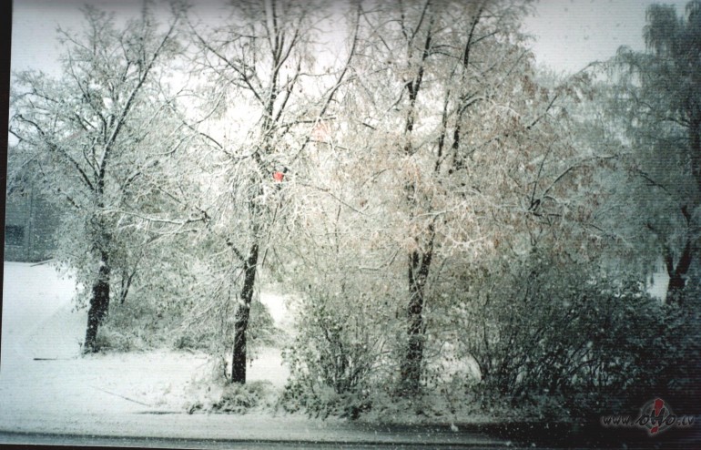 17.decembr� b�s sniegs. Tie, kas atceras, kas notika vien� puten� ...