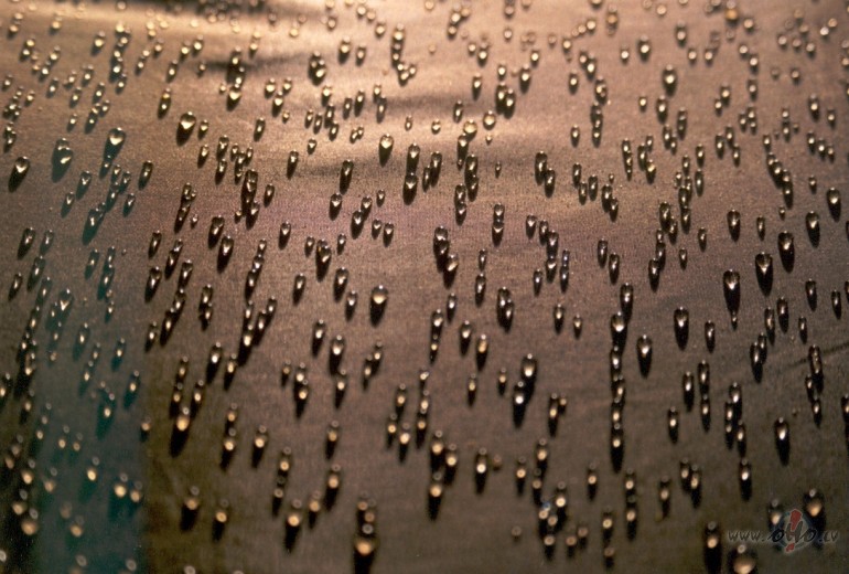 ?Ne jau viss ir zelts, kas sp�d,Ne jau viss ir m���, kas smaida.K� ...