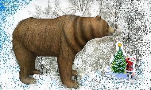Sniega gaid��anas m�nija ir sasniegusi apogeju, t�p�c v�rsos tur, kur ...