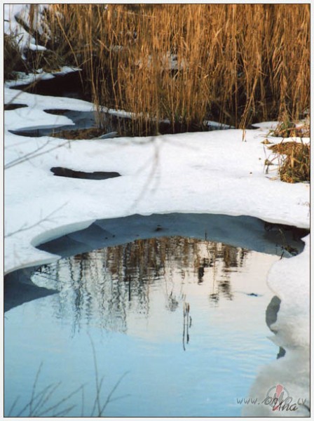 Es zinu..kop� m�s saved�s nakts,�nas gaisto�as aizkaru till�un t�lum� ...