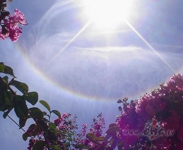 Braz�lij� - halo, ziedi... 
&nbsp; janv�ra vidus... Pretrunu pilna ...