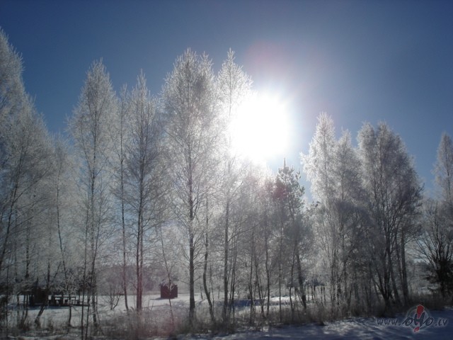 Piecelties piec�los, pat l�dz savam darbtronim esmu atrull�jusi, ta�u ...