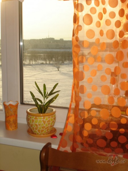 Un atkal viss ir chikiniekaa- kompetenta spechuka lietderiigi padomi, ...