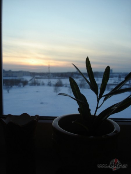 ........... negulju................ veel nee.........