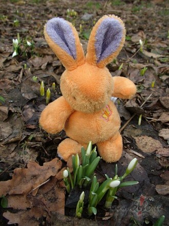 Priecigu un jauku jums 8.martu meitenes un sievietes ;*