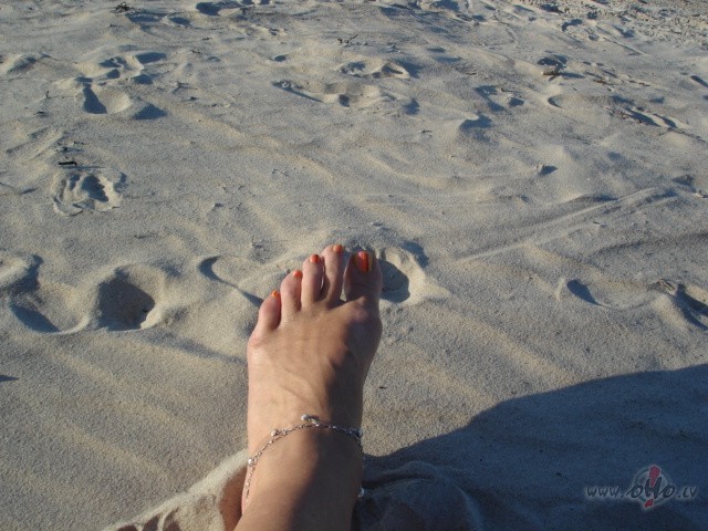 Lai priec�gs pr�ts par �o dienu, par saul�ti, kas c�n�s ar m�ko�iem, ...