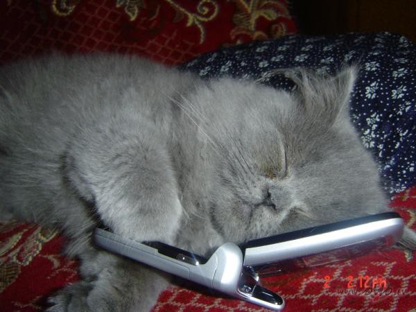 T�, man �� ned��a s�kas ar otrdienu, Saules aptumsums aptumsin�ja ar� ...