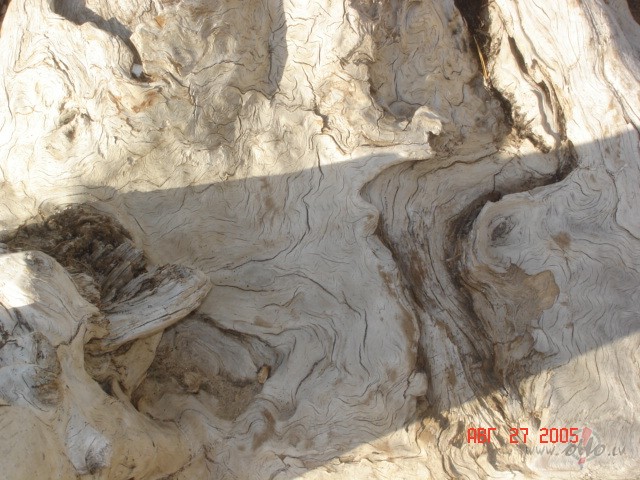 Saspringta dienas pirmaa dalja, toties kaads novakars.... mmmmmm :) ...