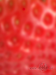 Es esmu tavs zef�rs �okol�d� uz sekcijasauk��j� plauktamaigs sap�aini ...