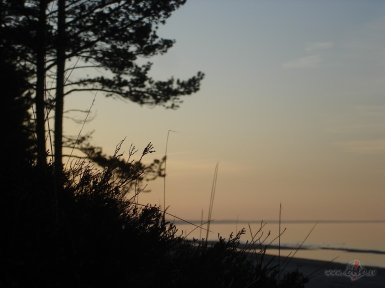 DZ�V� IR T�DI MIRK�I, KAD P�C K�DA SKUMSTI TIK �OTI, KA V�LIES IZRAUT ...