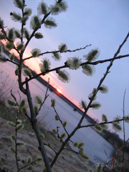 Vienu saules staru l�g�u iemirdz�t ikkatram a�el�s, tas b�s man�jais ...