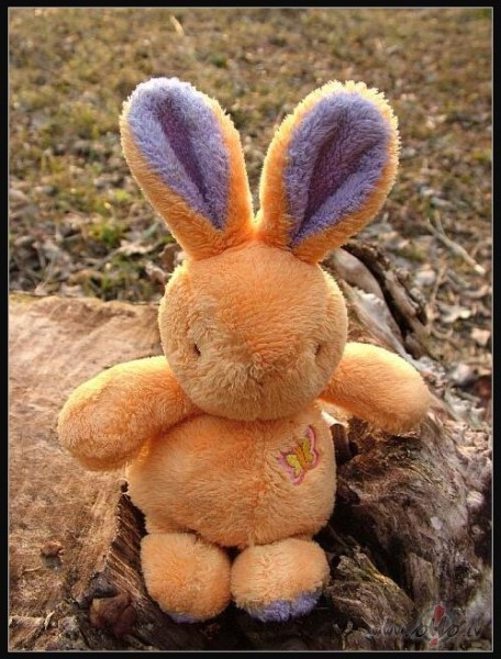 Lieldiens ik pavasariApkrt riko zau bari !Viss mjs akli ...