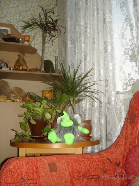 O, nee, shitaadas nenormaaliibas nav manaa stilinjaa... tas filjmuks ...