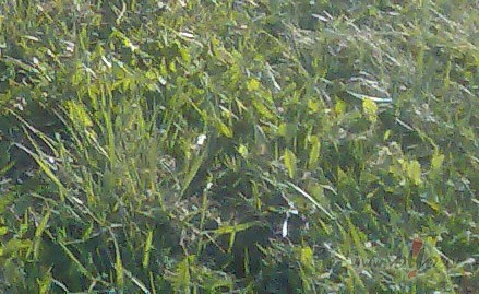 M�s m�lam tos, ar kuriem pavad�m kop�&nbsp;br�vo laiku. Jo vair�k ...