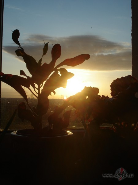 Radio 2 skandee:
... maijaa, kad visa zeme zied,
maijaa, kad ...