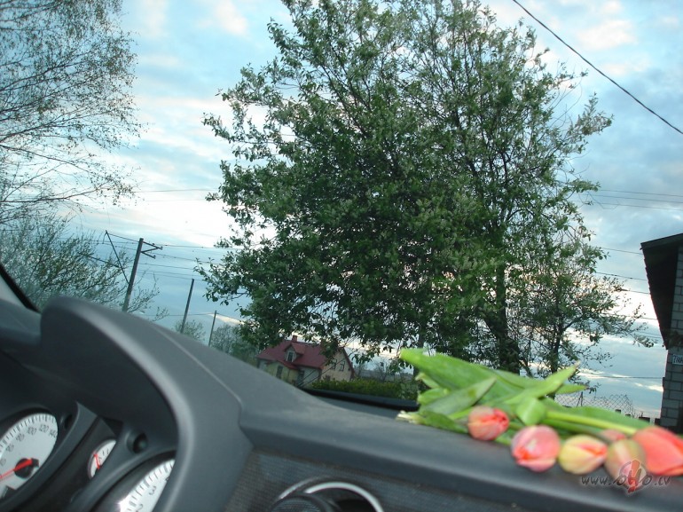 Izraadaas naktees tagad lakstiigalas pogo :)!!!!!!!! ...