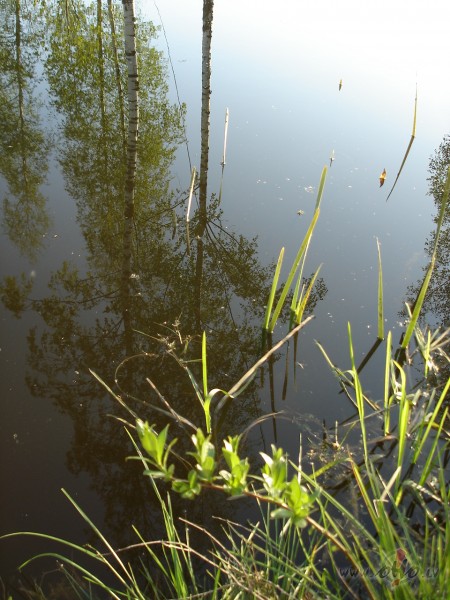 Aiz muguras br�vdienu lustes, priek�� pla�s darblauks.... ehhhhhh, ...