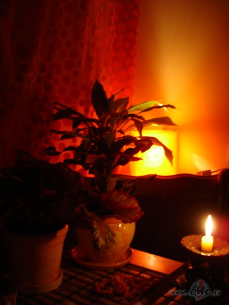 &nbsp;... sacensties ar sievietes smadzeneem ? Shaada sacensiiba ...