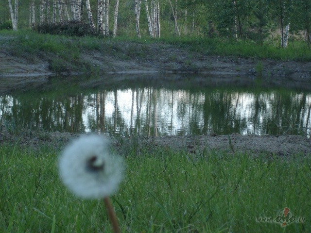 Apk�rt skand�- str�d�, str�d�, str�d� !!! Es atkal dom�ju- cik var ...