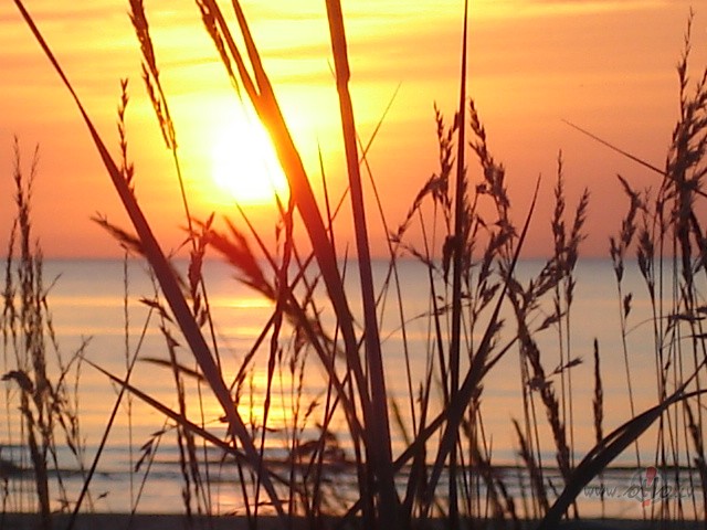 Ak shie saulrieti dieviigie aiz mana loga, ne vaardiem aprakstiit.... ...