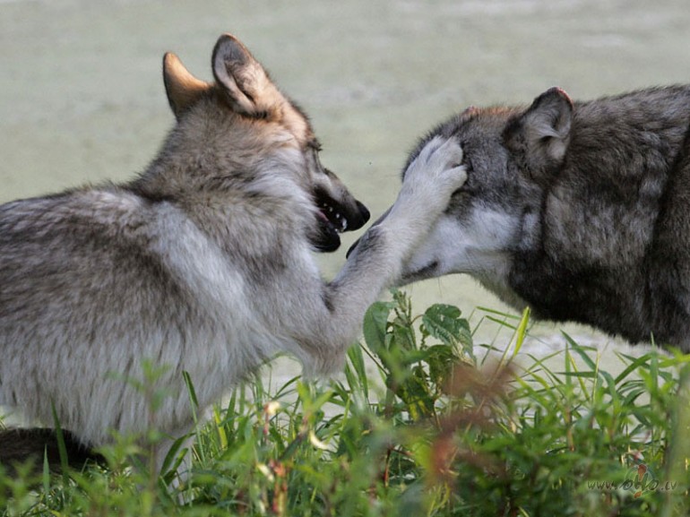 ... vot takaja ona zhiznj... provozhaeshj serie vechera... ...