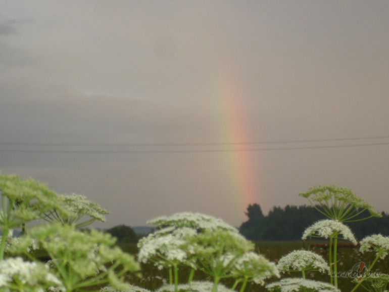 Vainadzi�i sap�ti, j��z��u pu��i izplauku�i, aizl�goja J��dieni�a ! ...