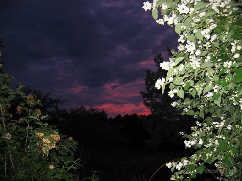 Uuuuu, auuuuuuuuuu, vai k�dam nafffff blats pie Dievkunga ??? Gribu ...