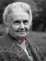 Pastaigas kop� ar b�rnu ir �oti labs veids, k� iepaz�ties ar ...