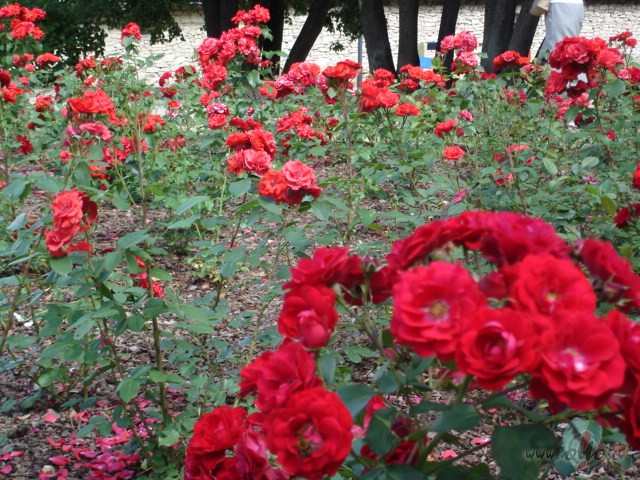 ��s burv�g�s darbned��as p�d�g�s min�tes, sekundes..... akkkkkk, ko ...