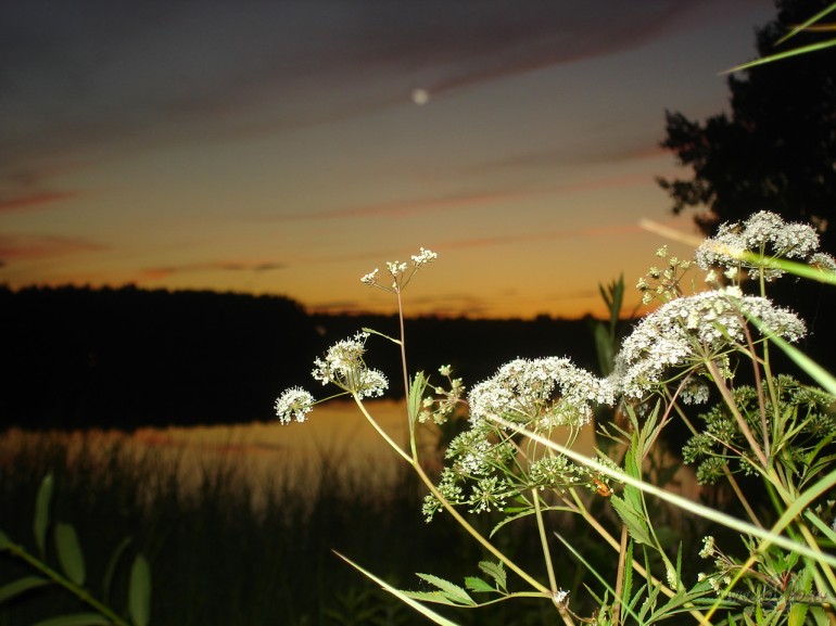 Lieliskas un aizraujo�as br�vdienas- saule, naksn�g�s dziesmas ...