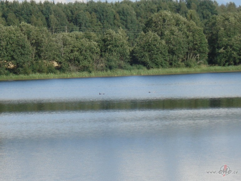 ***un t neda pagjusi, jlijs beidzies un augusts ar jaukm, ...