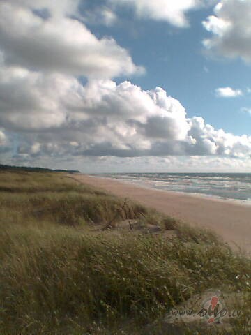 T�das bangas k� �odien, �rst� visus iesp�jamos celul�tus,- gan ...