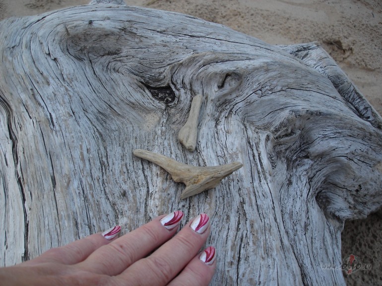 Un atkal t�l�s zilaj�s mani ce�i trauksies :)))) Feini, v�l viens ...