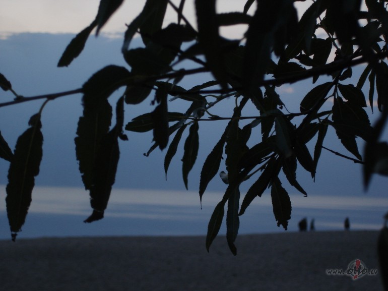 Aidaa pasauli skatiit :))))))))))))))