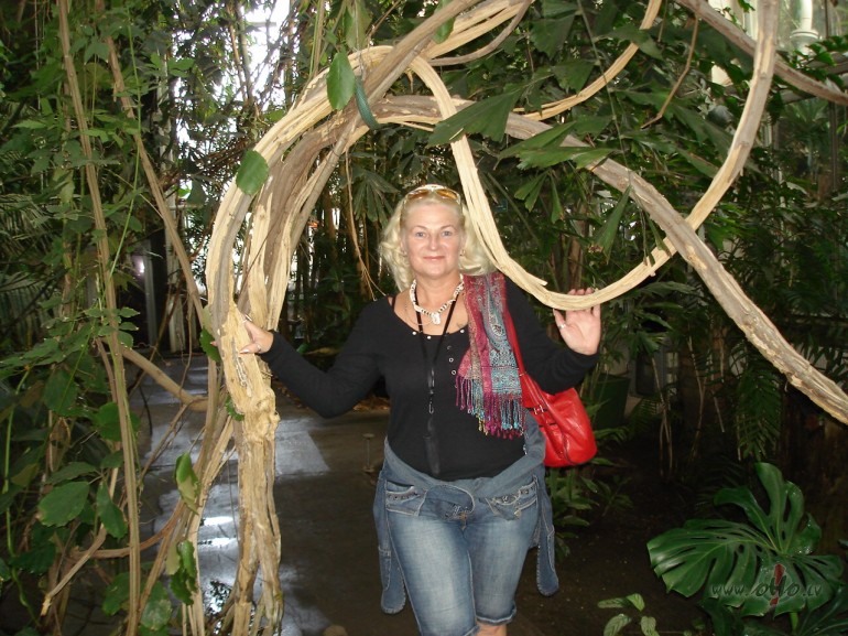 Pace�oju, paskat�ju pasaul�ti, atvedu atpaka�am saul�ti&nbsp;un ...