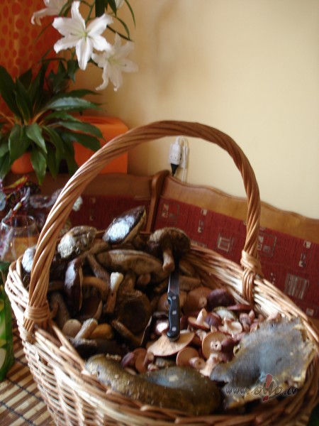 Diena.... ooo, vispaar jau naksne iestaajusies :) Hee :) nuuu, peec ...