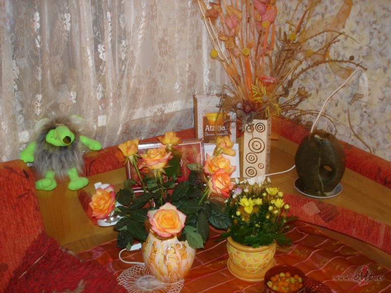 Kolosaala dieninja- rezultatiiva pastraadaashana, daudz smaidu, ...