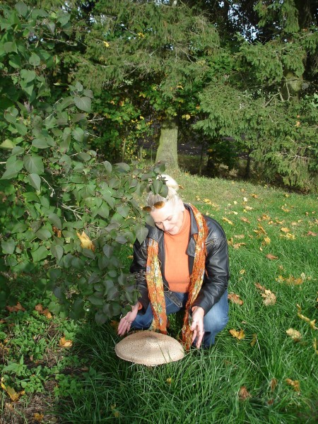 V�l kav�jos jaukuma p�rpilnaj�s domi��s par aizvad�taj�m ...