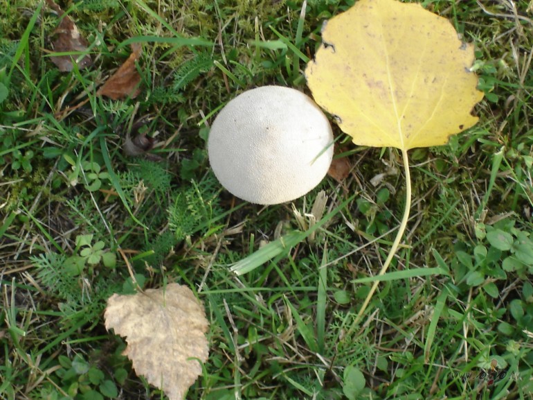 Ju�anas ???? Ju�an�m nafff ne vain�tes, ja pats pieproti sevi ...