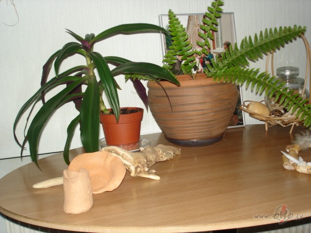 Viss, gana �on smadze�kustin��anas par nopietn�m jom�m !!!!! Vakaram ...