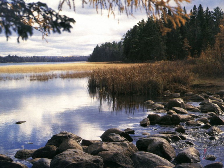 Laikam ka beidzot ir iestaajies rudens! Ar lietiem, veetraam, ...