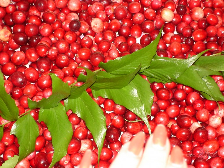 Un ar ko nodarbojas iista sieviete ??? Shajaa briidii paprieceejas ...